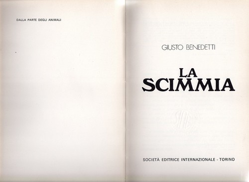 Animali zoologia la scimmia - animali,,