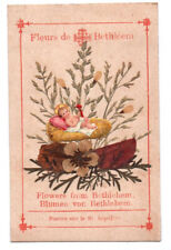 Antico quadro sacro fiori di Betlemme 1890 circa Gesù Bambino erbario