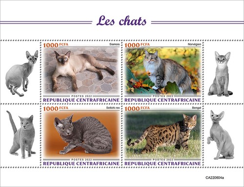 Cats