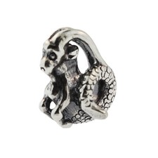 Autentico Trollbeads argento