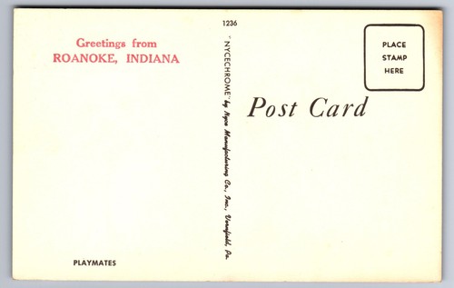 1960 roanoke saluti da - roanoke,,