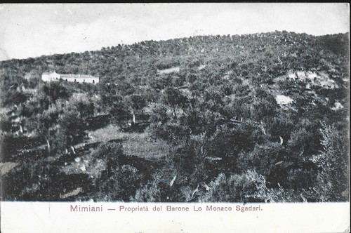 Mimiani proprietà del - mimiani,