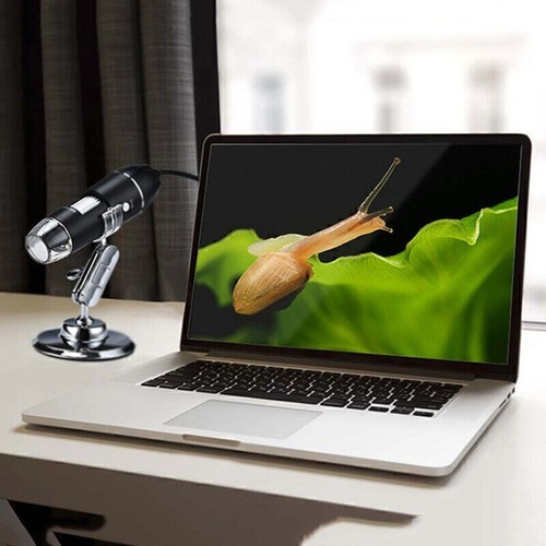 1600x 8led usb microscopio - 1600x,