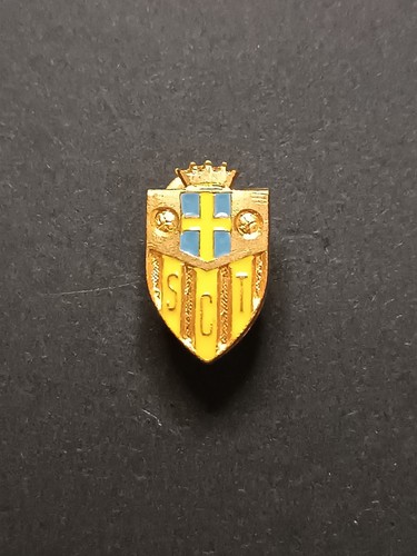 Pins pin badge spilla - pin,