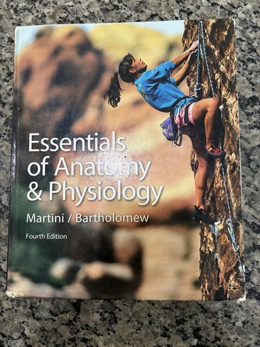 Essentials anatomy and - of,