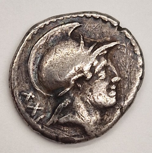 Gens satriena xxi - gens, denario,