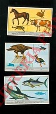 Animali - Figurine - Il regno