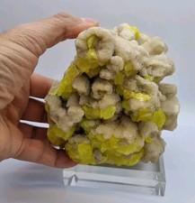 Minerali◇Pseudomorfosi Con