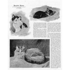 HENRIETTA RONNER Pittore della