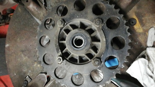 Porta corona ducati - ducati, indiana