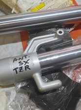 Coppia steli forcella