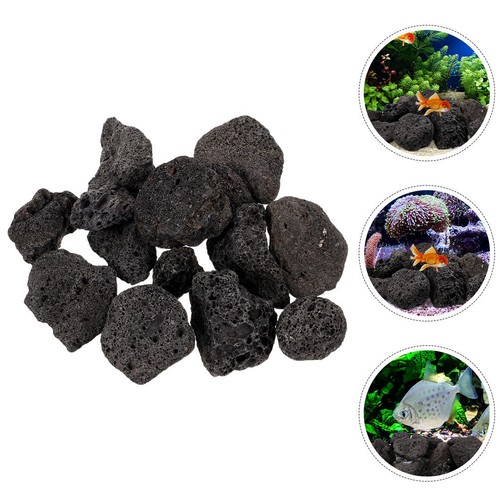 Pesciera roccia vulcanica - pesciera,
