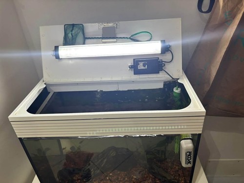 Acquario completo usato 60lt - acquario,