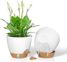 Vaso per Piante Da 20 Cm Con