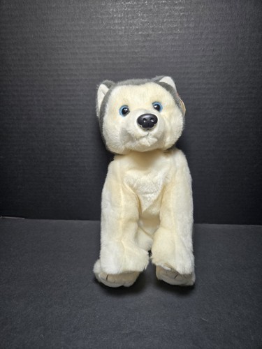 Peluche cane beanie buddy - ty,
