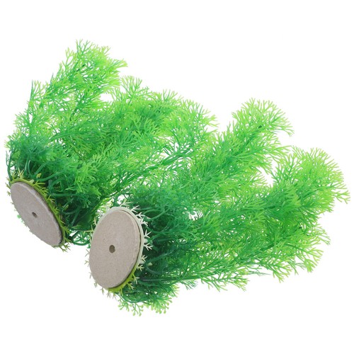 Pezzi piante acqua dolce - 2,