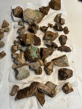 Pietra ospite roccia lapidaria