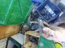 Mg zr zs rover 25 45 diesel 2.0 cambio realizzare forcella