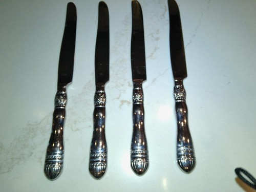 Coltelli tavola southern - 4,