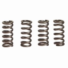 EBC Molle Di Frizione CSK149