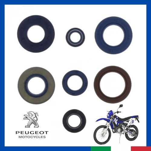 Kit paraolio revisione - , motore