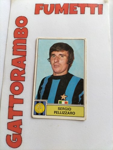 Figurine calciatori pellizzaro - figurine,