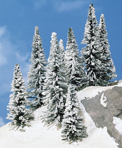 Heki abeti innevati - 8,