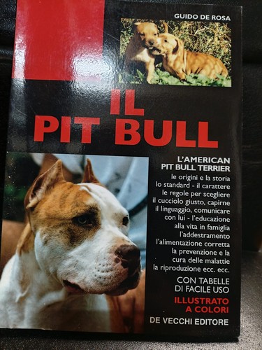 Pit bull pitbull - pit, rosa
