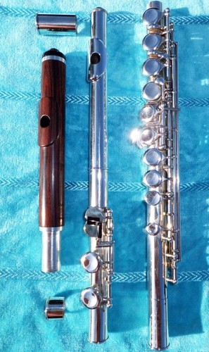 Hammig philipp 666 flauto - hammig,
