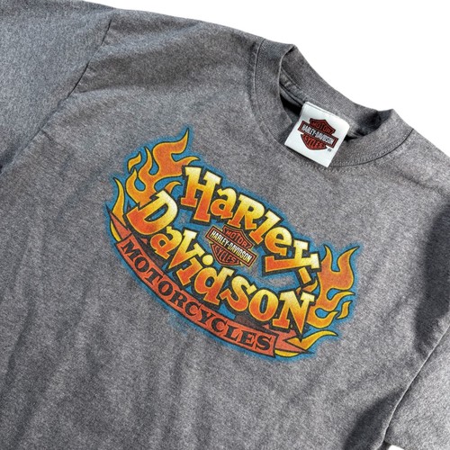 Harley davidson kids - davidson, gray