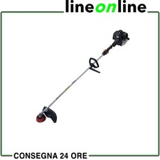 Decespugliatore professionale