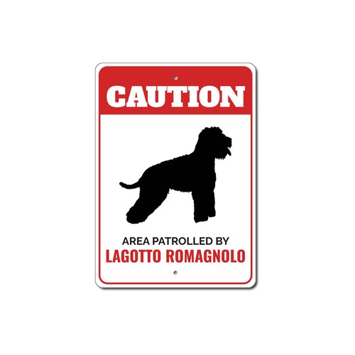 Pattugliato dal lagotto - pattugliato,