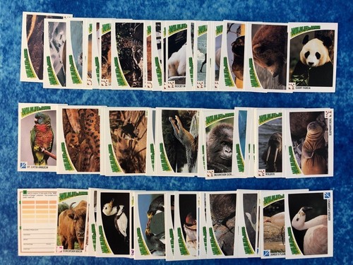 Wildlife danger - wildlife, in