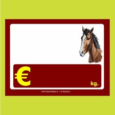 KIT 10 CARTELLINI NEUTRI