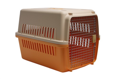 Pet crate cuccia - cuccia, cani