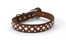 NUOVO! Collare per cani in