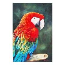 Quadro olio tela - quadro, 60x90