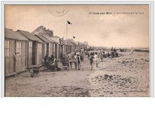 14. LEONE SULLA SPIAGGIA. LE