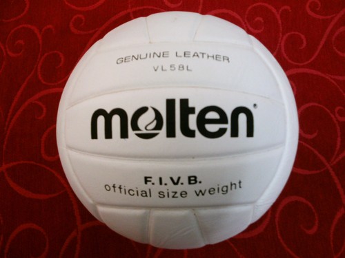 Pallone volley pelle bianca - in,