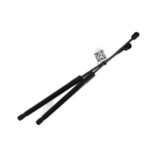 Coppia Pistoni Portellone