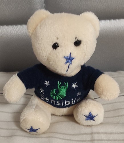 Peluche pupazzo orso orsetto