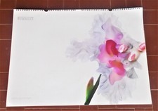 Calendario PIRELLI 2004 NICK KNIGHT - Calendar Photo 60x43