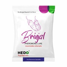 HEDO Esca a Feromoni per