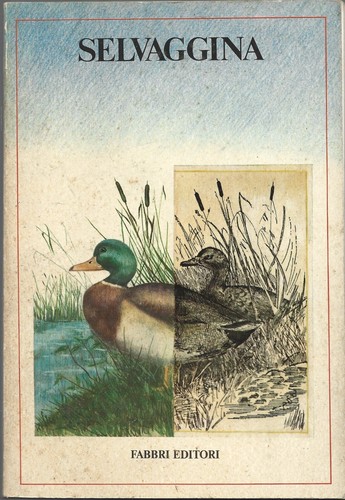 Selvaggina caccia - selvaggina,