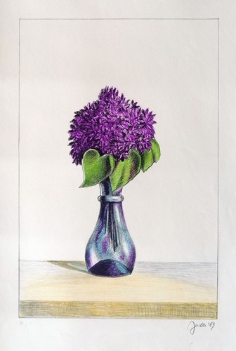 Fabio failla ortensie - -,