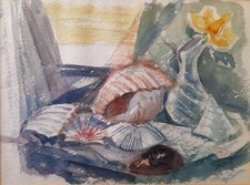 VALERIA VECCHIA - CONCHIGLIE - ACQUERELLO