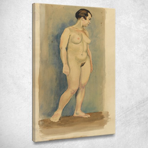 Nudo femminile karl wiener - nudo,