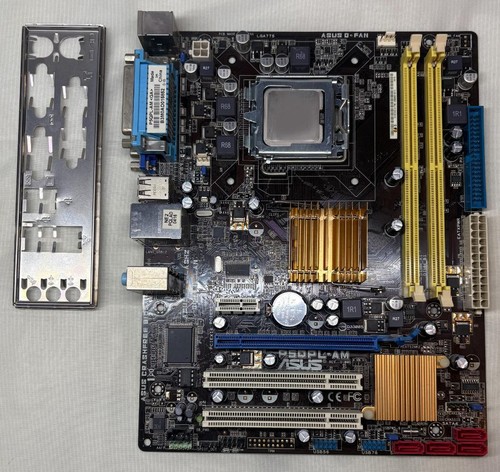 Asus p5qpl scheda - asus, p5qpl-am