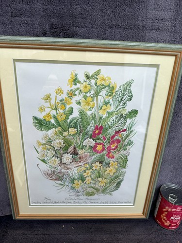 Stampa incorniciata edizione