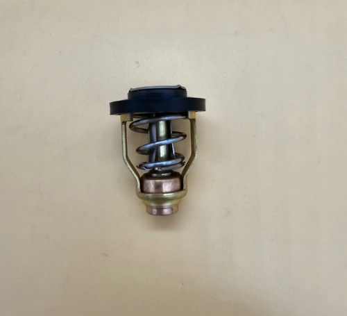 Termostato fuoribordo suzuki - termostato,